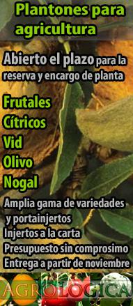 Agrologica banner vertical reserva planta